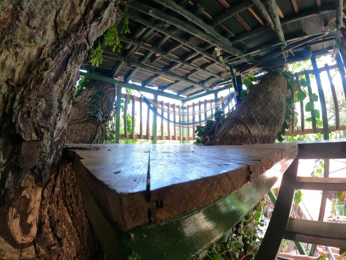 Tree House Samanea Lodge Puerto Limon Exterior photo