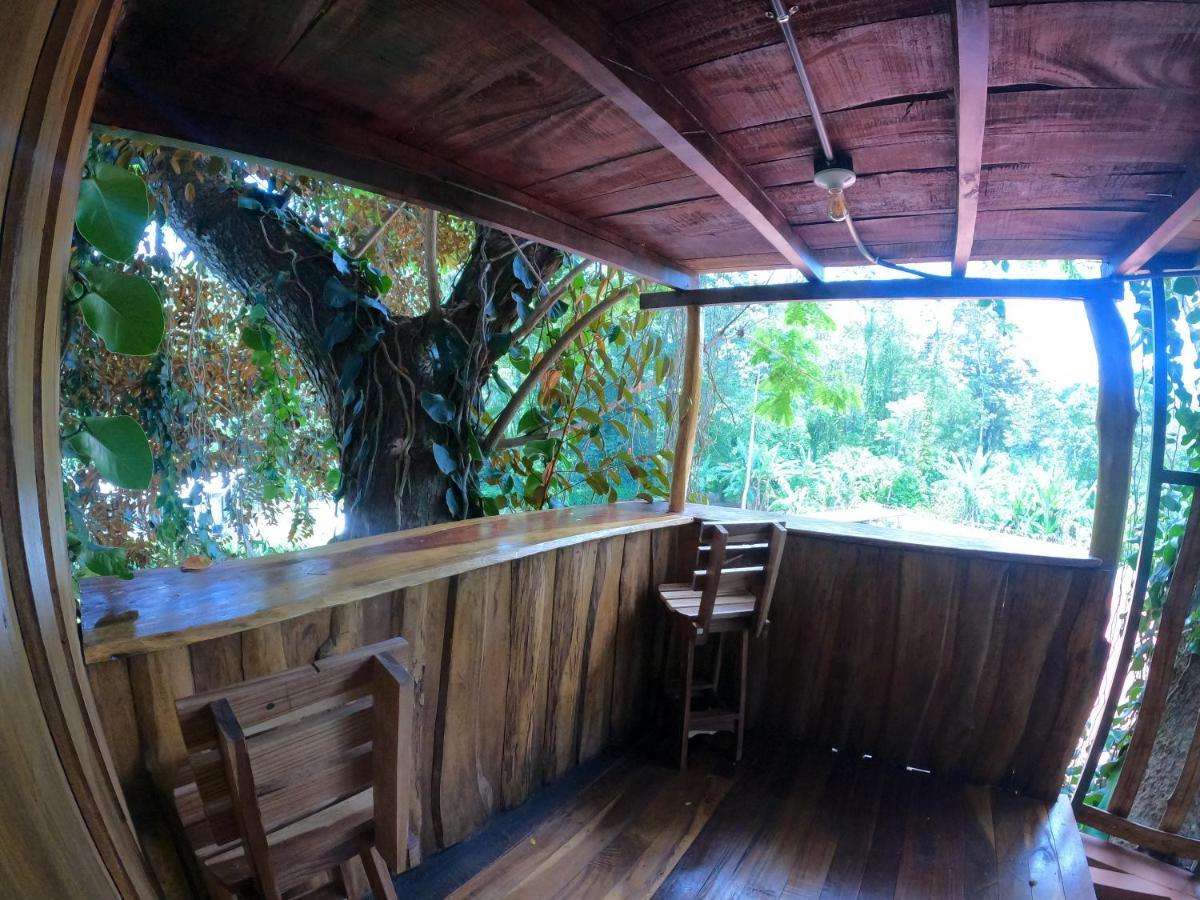 Tree House Samanea Lodge Puerto Limon Exterior photo