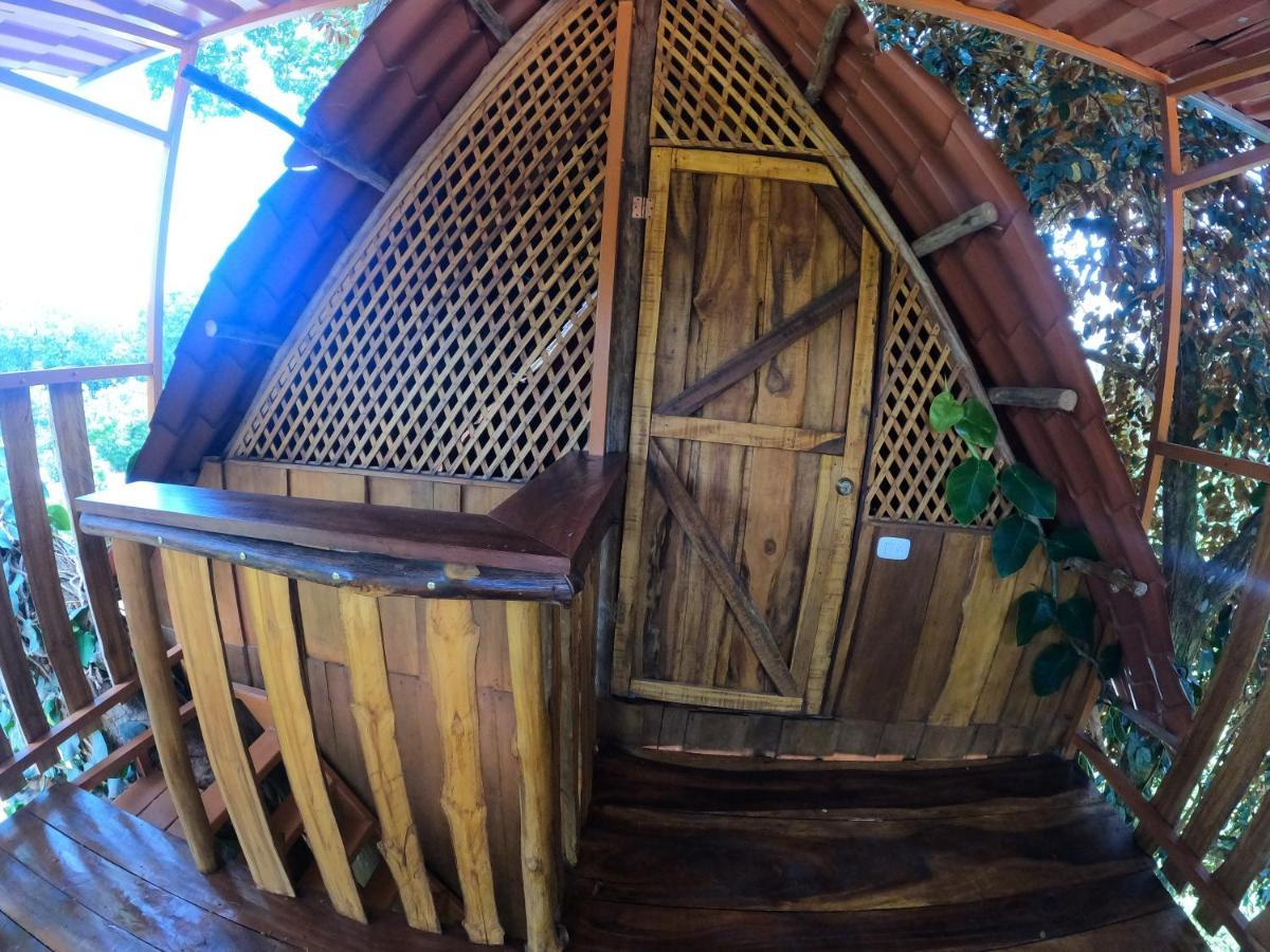 Tree House Samanea Lodge Puerto Limon Exterior photo