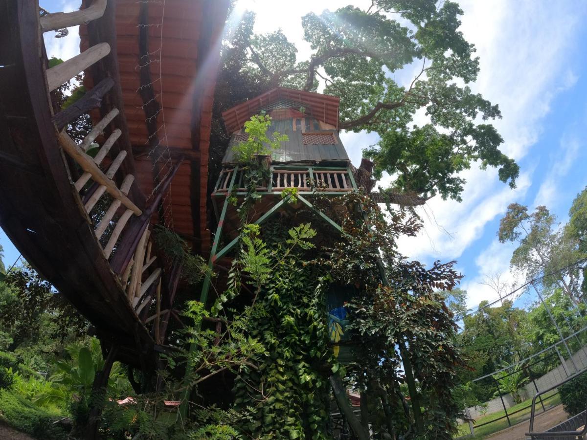 Tree House Samanea Lodge Puerto Limon Exterior photo