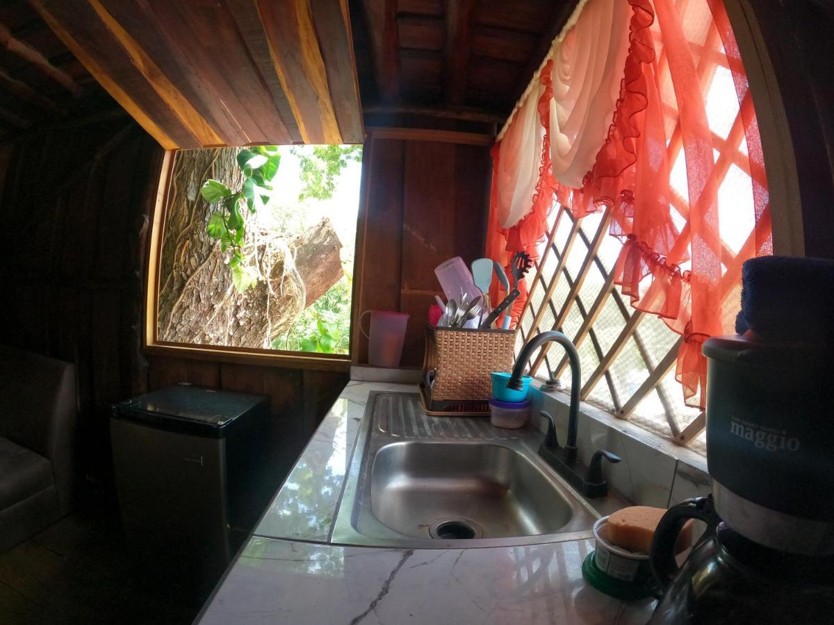 Tree House Samanea Lodge Puerto Limon Exterior photo