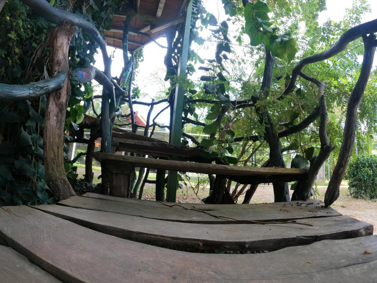 Tree House Samanea Lodge Puerto Limon Exterior photo