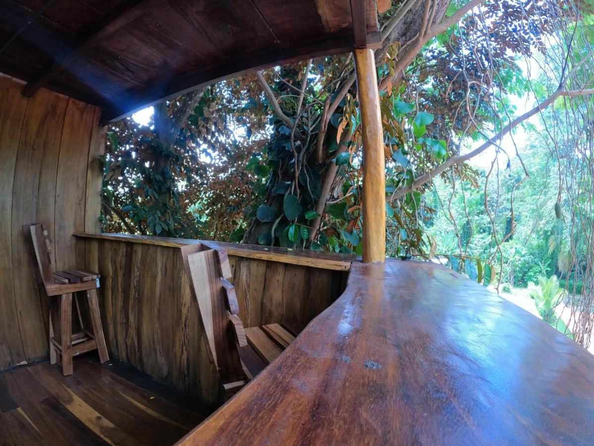 Tree House Samanea Lodge Puerto Limon Exterior photo
